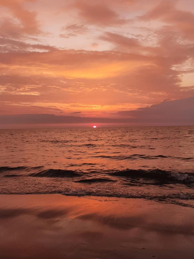 Domki U Eryka Miedzywodzie Bagian luar foto